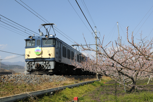 再びSLを甲府へ運ぶ快速「EL山梨桃源郷2号」