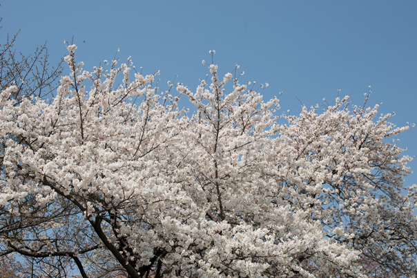 Nikon D3X + AF-S50mmF1.4G（シャッター速度：1/100秒　絞り：F16　ISO：100）