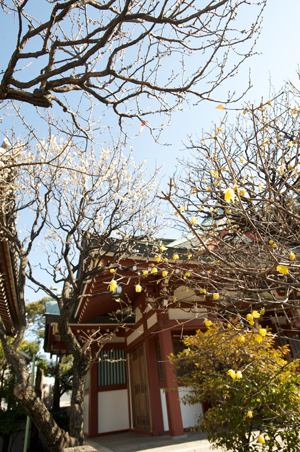 Nikon D700 +AF-S ED17-35mmF2.8D（焦点距離：24mm / 絞り：F7.1 / シャッター速度：1/200秒 / ISO：200）