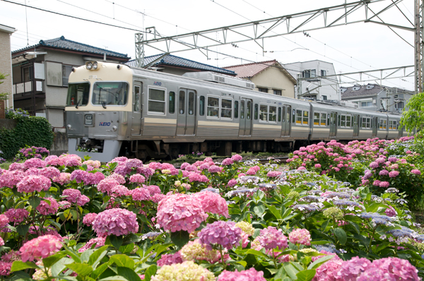 ブルーグリーンの1000系（井の頭公園～三鷹台にて）