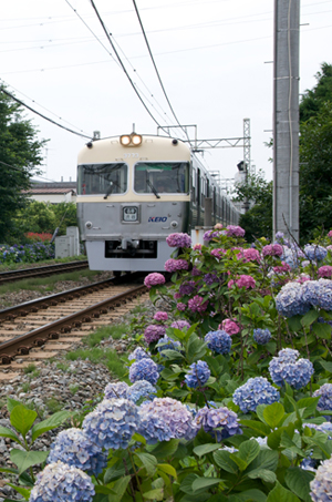 アイボリーの3000系（三鷹台～久我山にて）