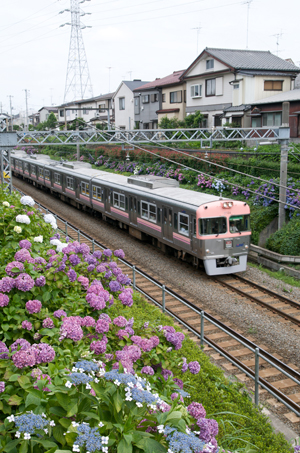 サーモンピンクの3000系（三鷹台～久我山にて）