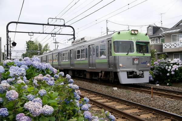 ライトグリーンの3000系（浜田山～西永福にて）