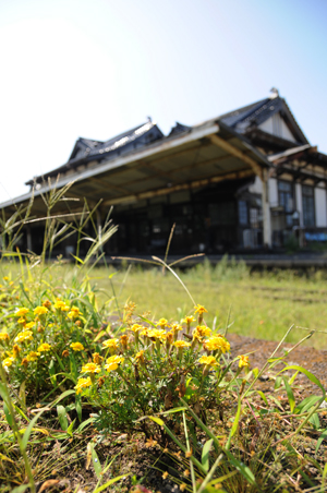 雑草に覆われたホーム