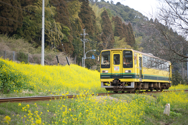 東総元を出て山を登るいすみ鉄道