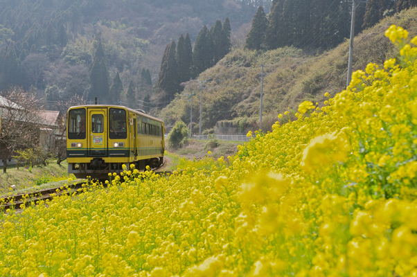 東総元へ向かういすみ鉄道