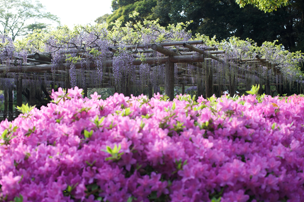 Ai35mmF1.4s　絞り：F5.6　シャッター速度：1/200秒　ISO：200