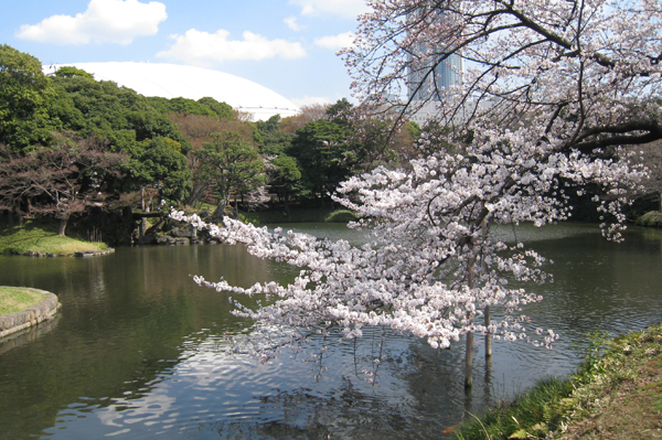 東京ドームを望む