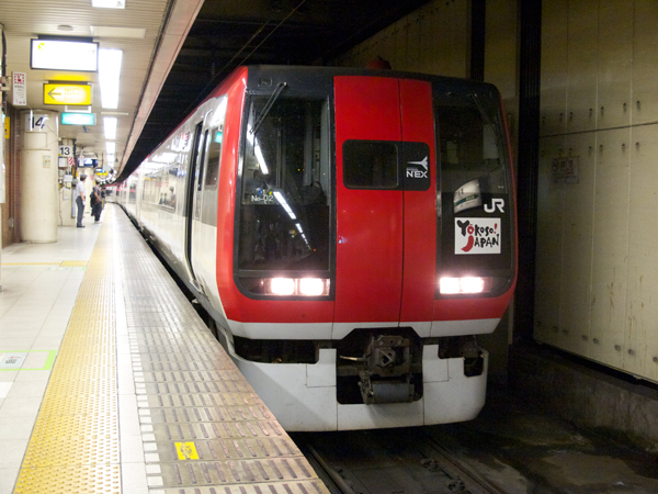 N'EX253系東京駅にて