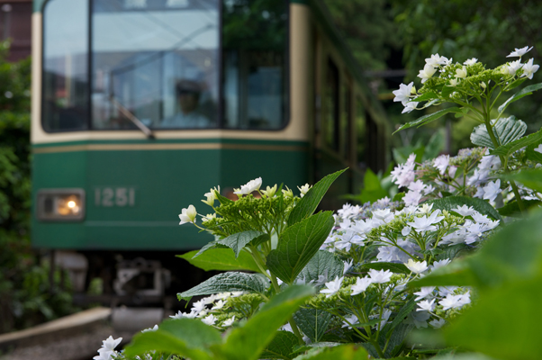 墨田の花火と江ノ電