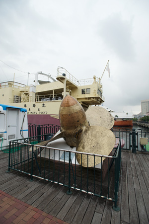 Nikon D700 +AF-S ED17-35mmF2.8D（焦点距離：17mm / 絞り：F5.6 / シャッター速度：1/200秒 / ISO：200）