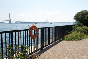 海芝公園から望む海