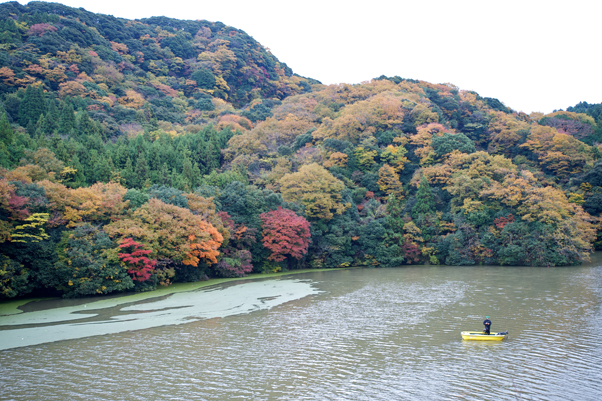 亀山湖の紅葉