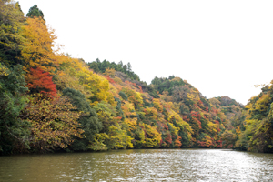 亀山湖の上流へ