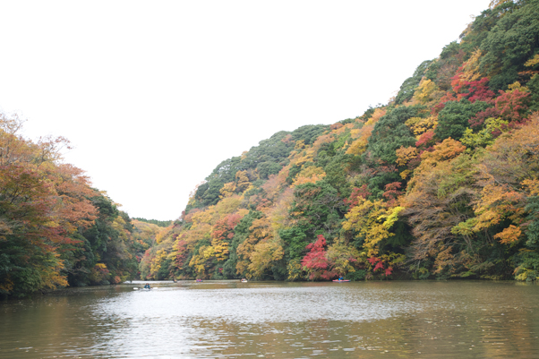 紅葉を楽しむカヌー