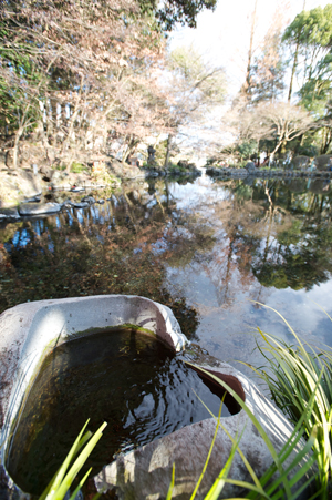 湧き水