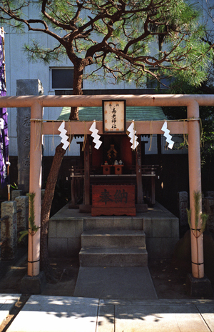 長寿の神様「寿老神」