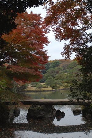 渡月橋のモミジ