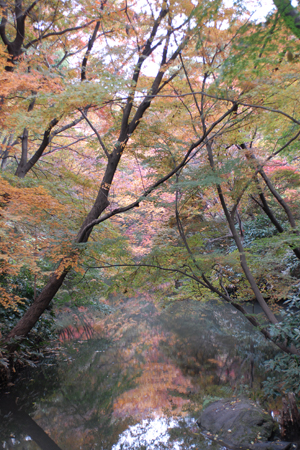 庭園内の小川沿い