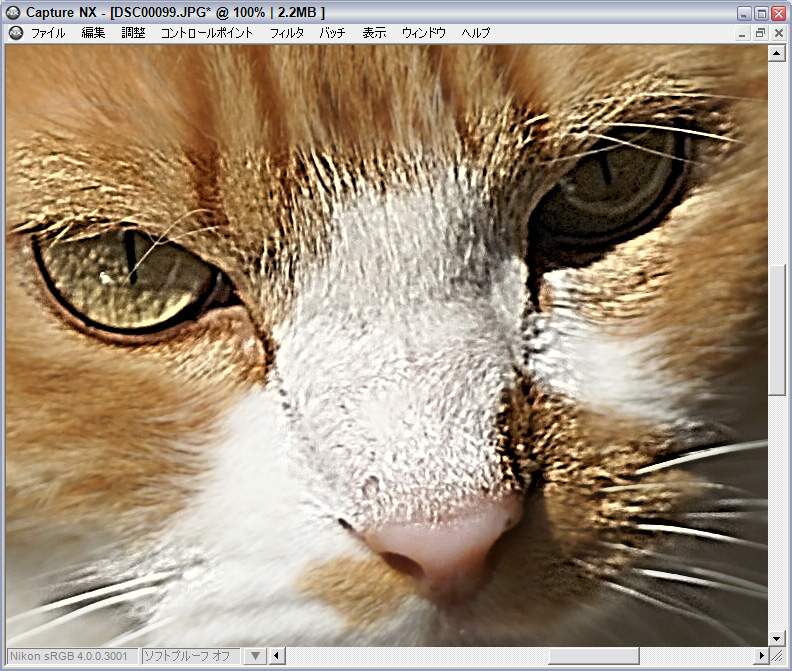 Nikon Capture NX レタッチ入門