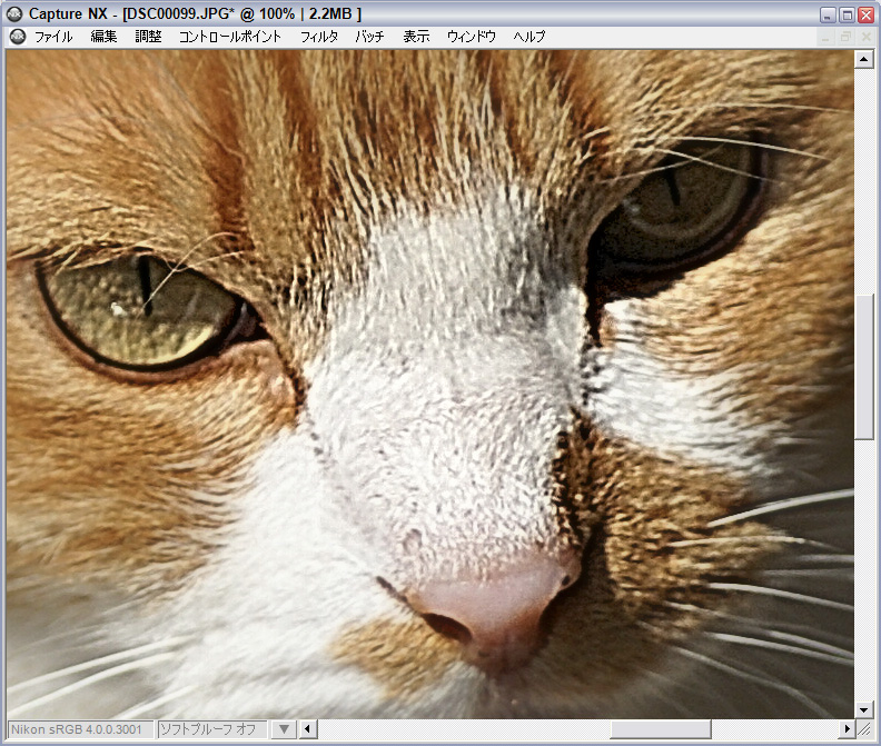 Nikon Capture NX レタッチ入門