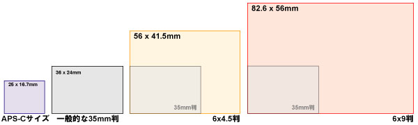 こんなに違う！フィルムサイズ