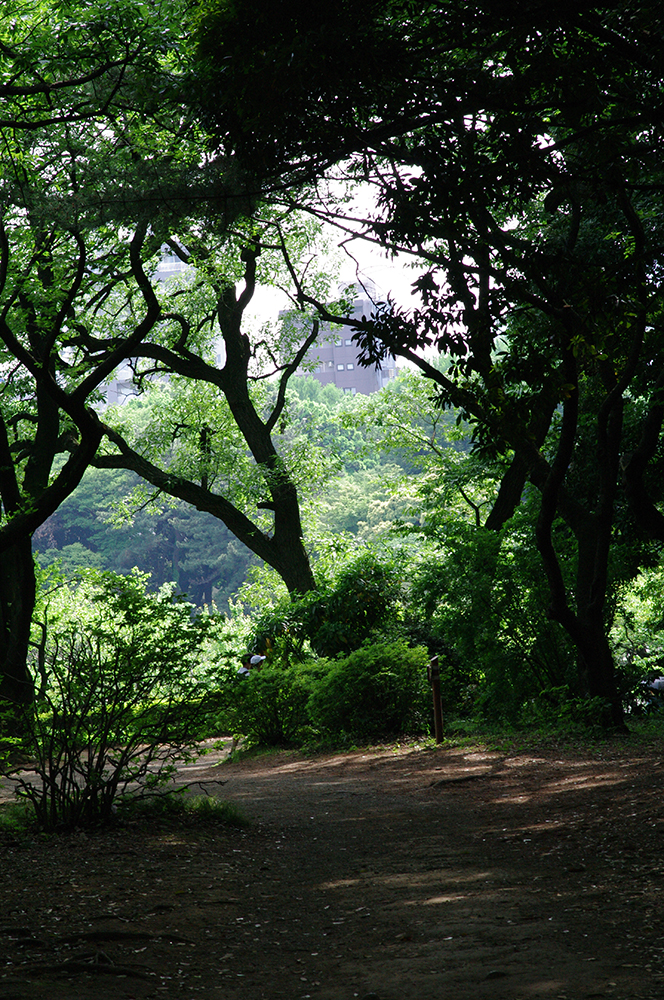 PENTAX (ペンタックス) K-7 + DA70mm F2.4 Limited