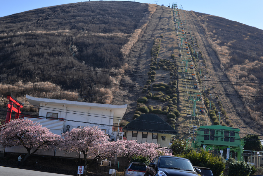 Nikon D610  Nikon AF-S NIKKOR 50mm F1.8G　大室山