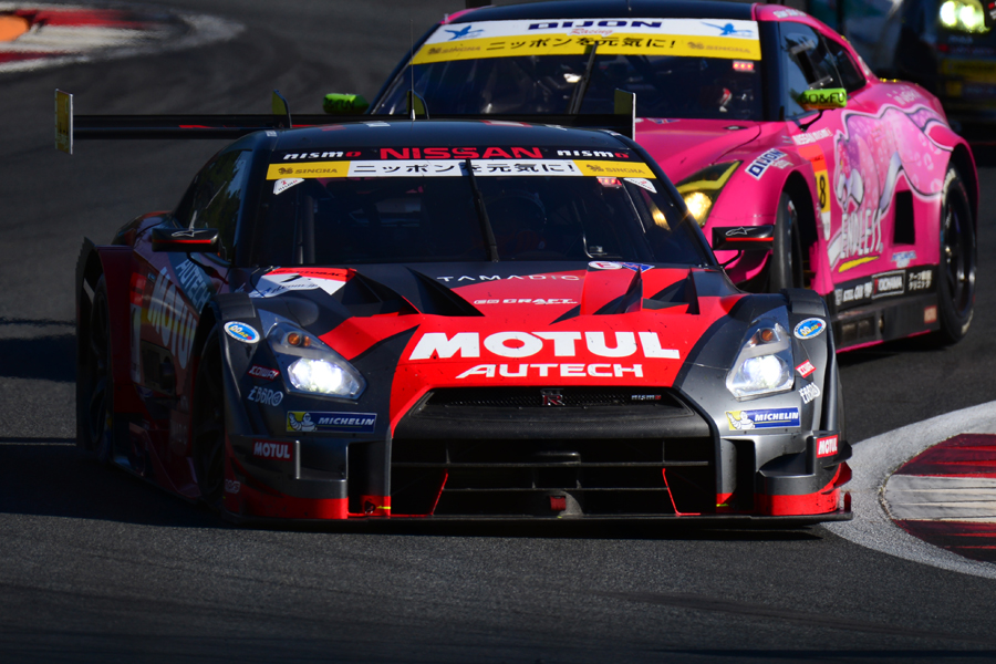 Nikon D610 AF-S NIKKOR 200-500mm F5.6E ED VR SUPER GT 2016