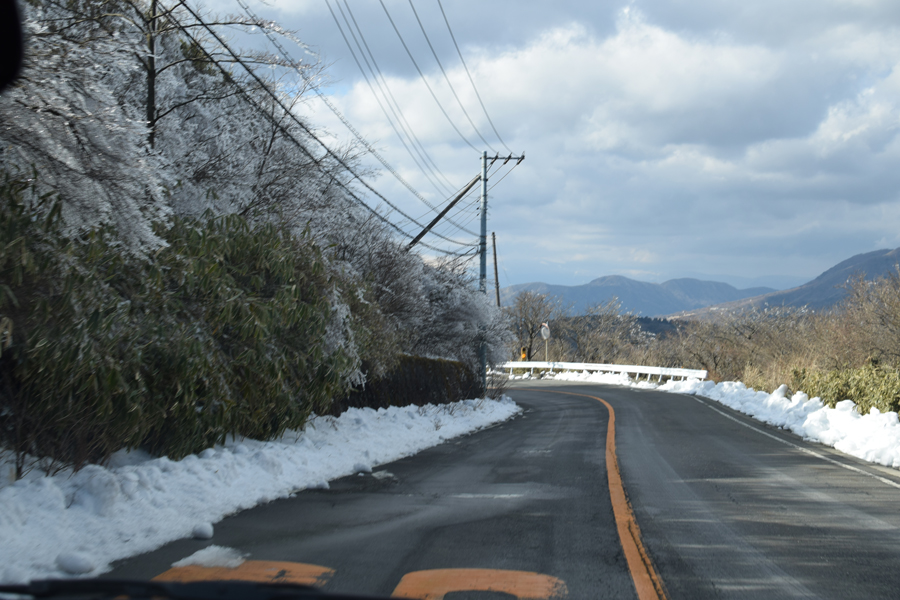 大観山ダウンヒル