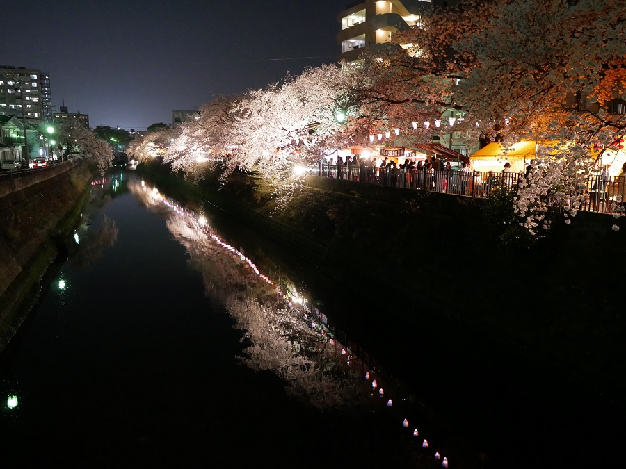 Panasonic (パナソニック) LUMIX DMC-GX7MK2 + LEICA DG SUMMILUX 15mm F1.7 ASPH. 