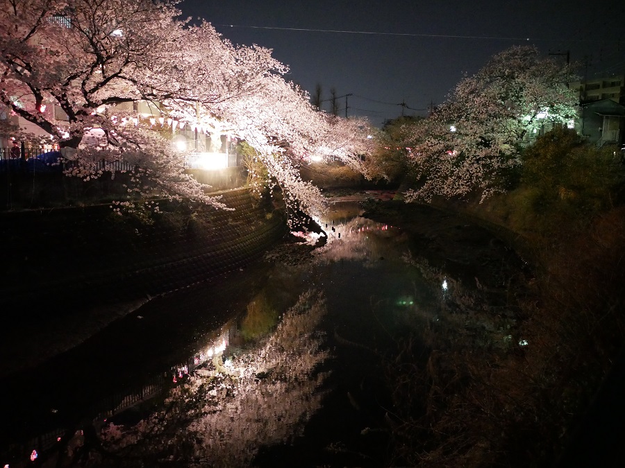 Panasonic (パナソニック) LUMIX DMC-GX7MK2 + LEICA DG SUMMILUX 15mm F1.7 ASPH. 