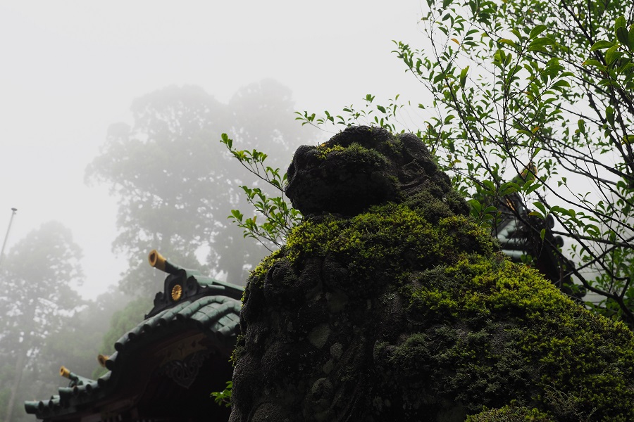 OLYMPUS (オリンパス) OM-D E-M5 Mark II 12-40mm F2.8 レンズキット