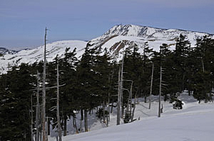 横手山は標高2,305メートル、頂上まで志賀高原からリフトがあります