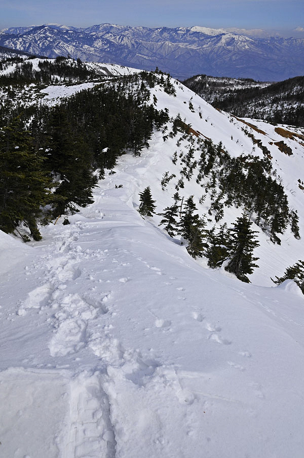 遠くの山は、上越の山々です