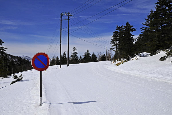 雪上車で圧雪された林道