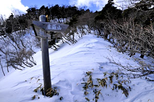 頂上直下の道標。このあたりからは膝まで雪にもぐりました