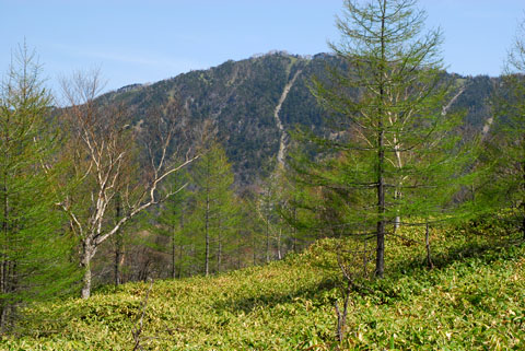 於呂倶羅山。山王峠より（※2007年5月撮影）