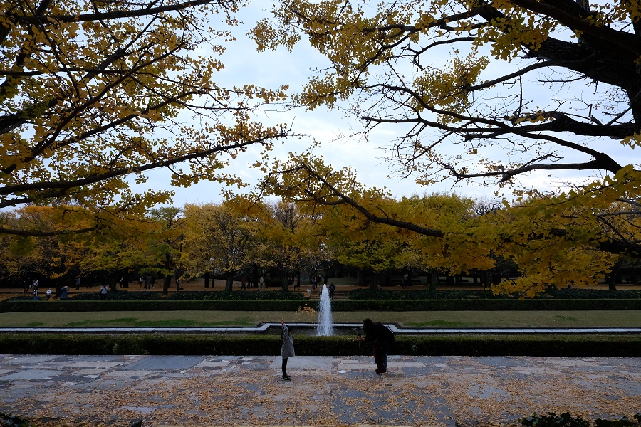 FUJIFILM X-Pro2 + CarlZeiss Touit 12mm F2.8