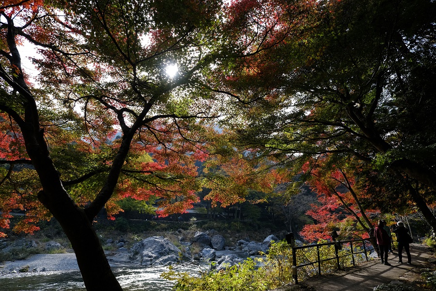 FUJIFILM X-Pro2 + CarlZeiss Touit 12mm F2.8