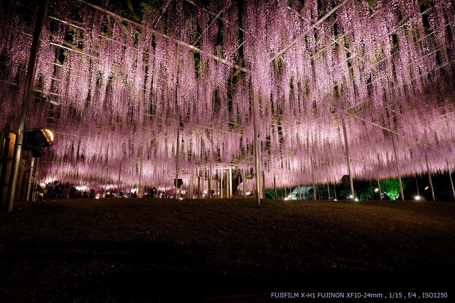 FUJIFILM X-H1 XF10-24mmF4 R OIS