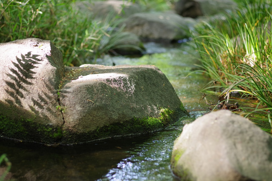 PENTAX K-1MarkⅡ +FA77mm F1.8 Limited