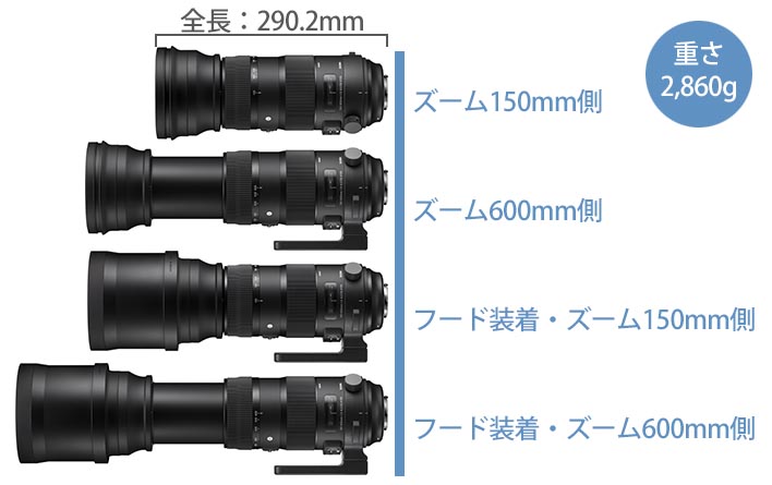 Canon用SIGMA 150-600mmF5-6.3 DG+2倍テレコン-