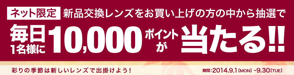 10,000ポイントが当たるチャンス！！