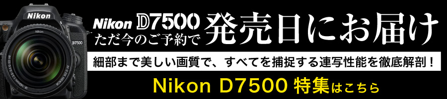 Nikon (ニコン) D7500