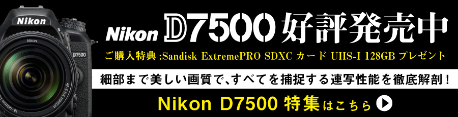 Nikon (ニコン) D7500