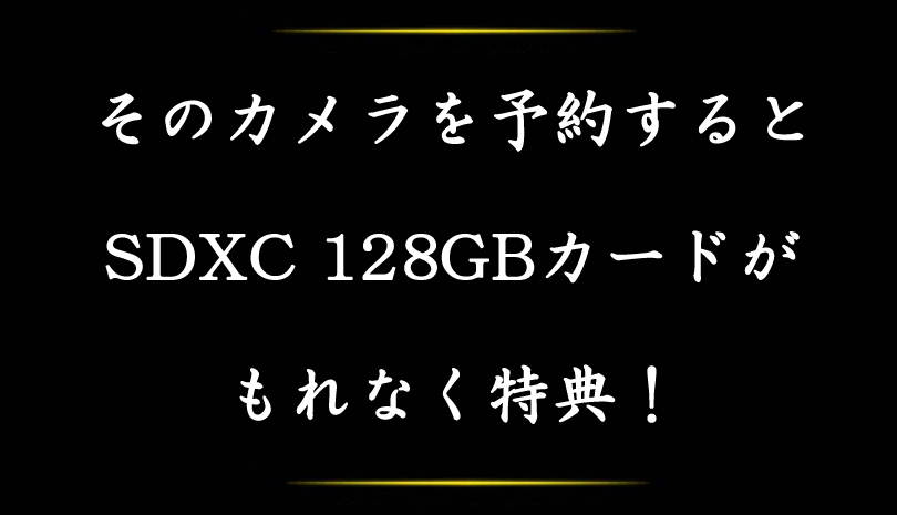 Nikon (ニコン) D7500