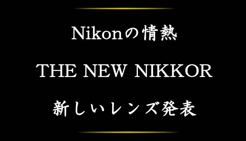 Nikon (ニコン) AF-S NIKKOR 28mm F1.4E ED