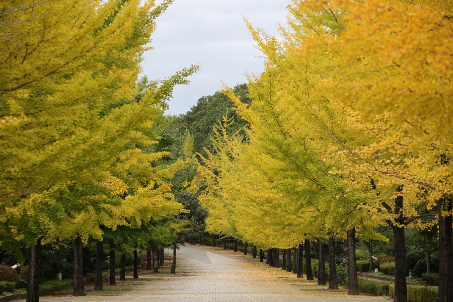 Canon EOS 5D Mark III ボディ＋EF70-300mm F4-5.6 IS II USM