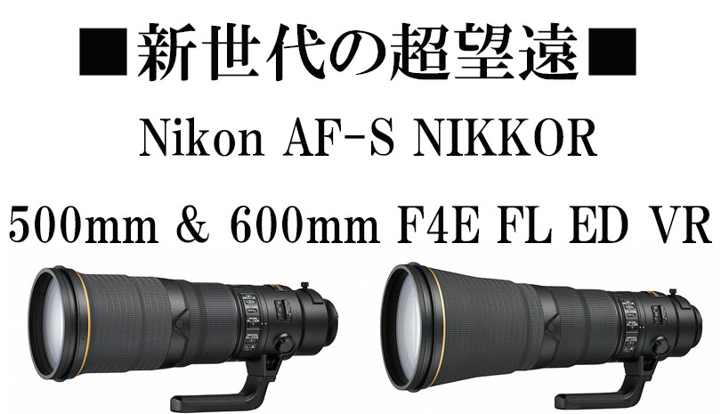 Nikon】新世代の500mm & 600mm ～本日発売！～ | THE MAP TIMES